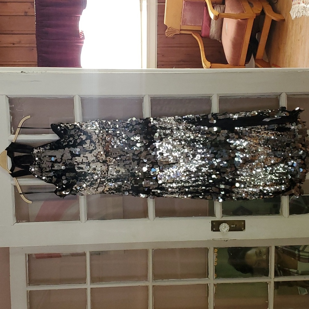 Plus-sized formal, sequined dress